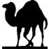 Perl 开发